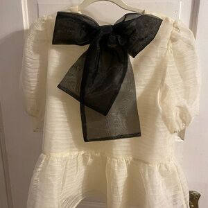 Elegant Cream Puff Sleeve Blouse